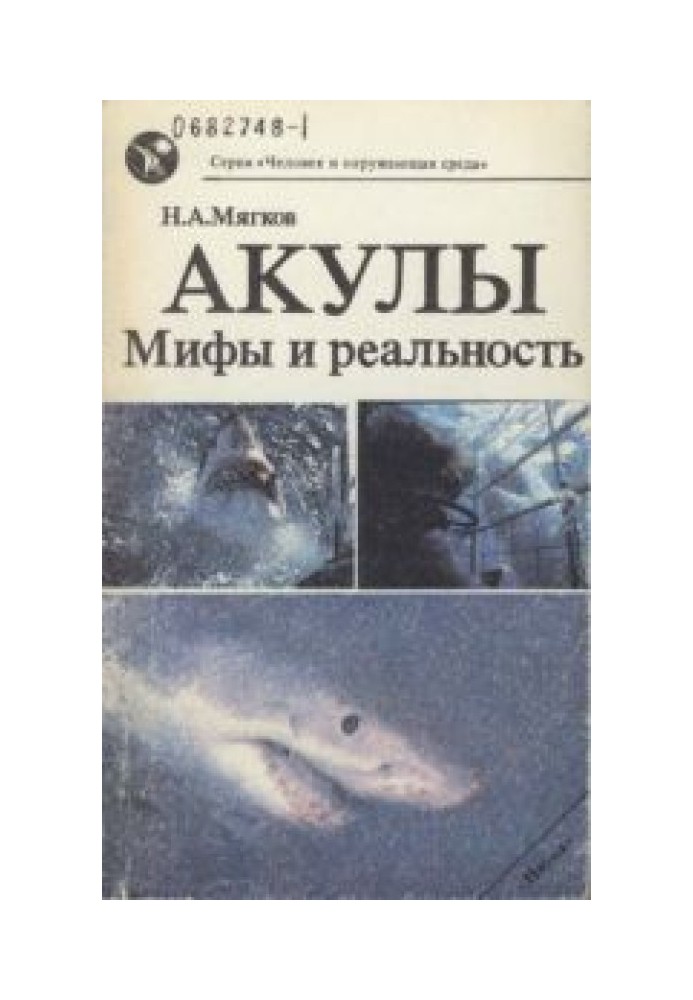 Акулы: Мифы и реальность