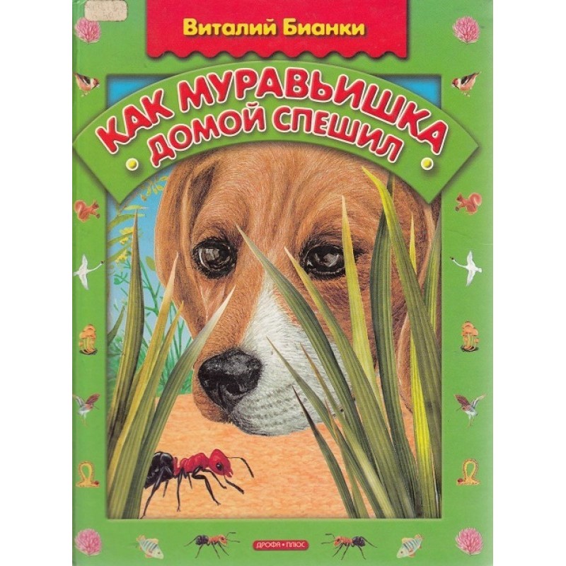 Як мурашка додому поспішав