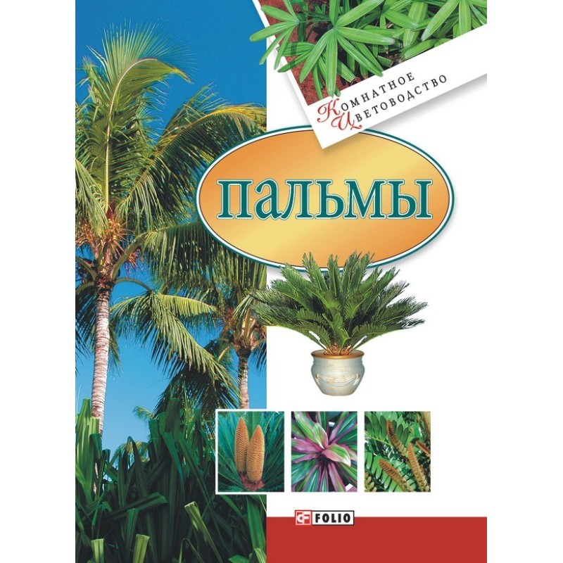 Palm trees