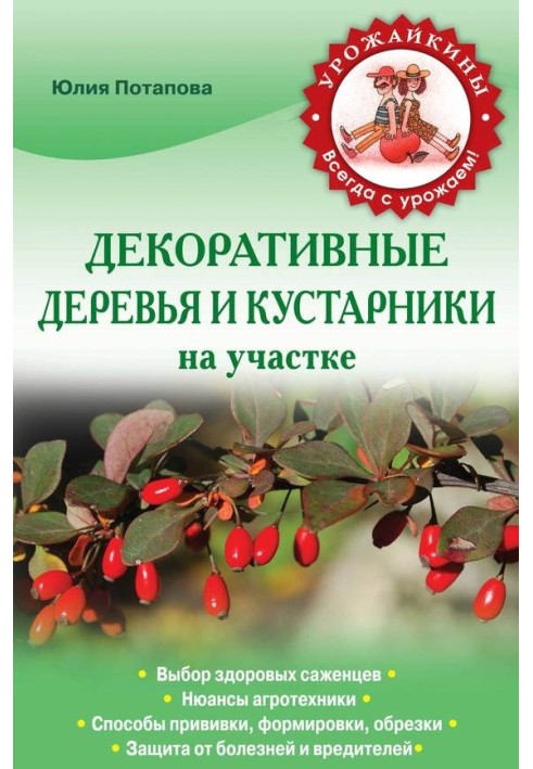 Декоративні дерева та чагарники на ділянці