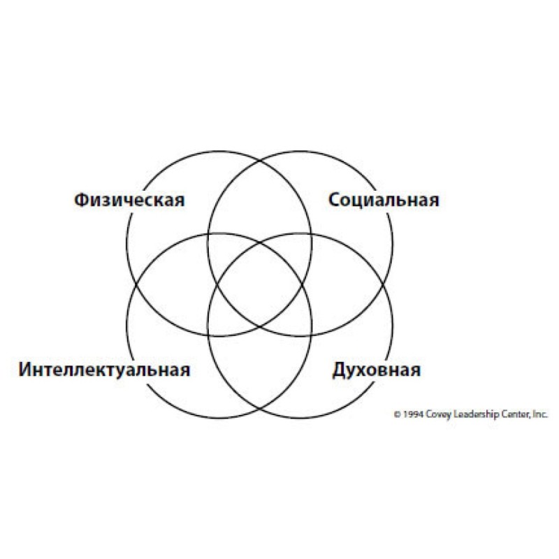 Главное внимание — главным...