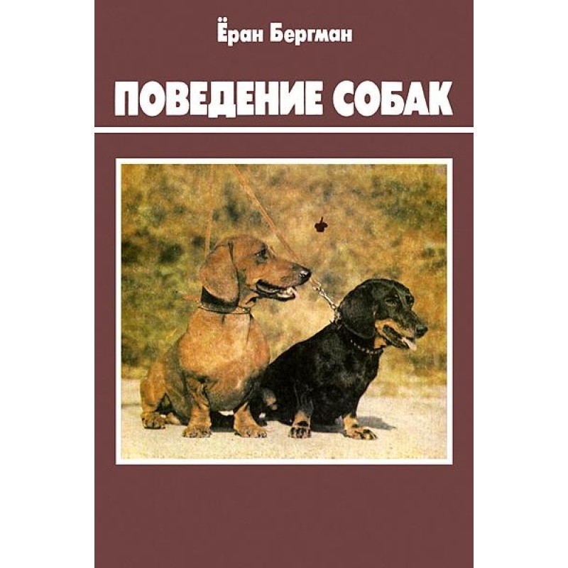 Поведение собак