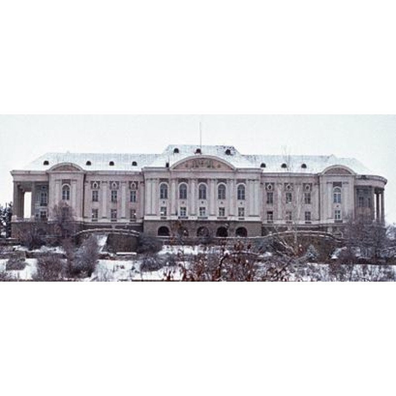 The soldier's enemy is...