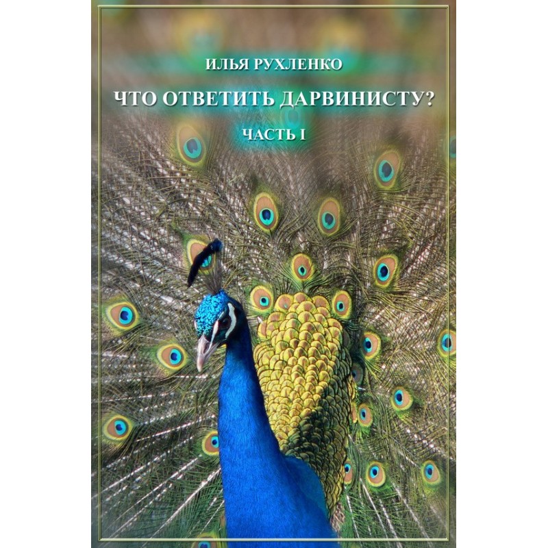 What to answer to a...