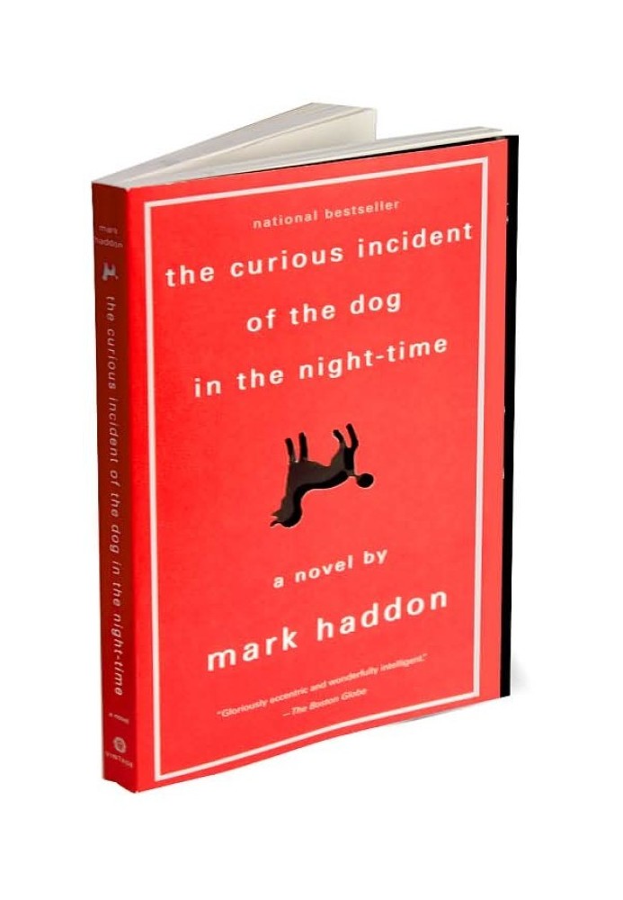 The Curious Incident of the Dog in the Night-Time