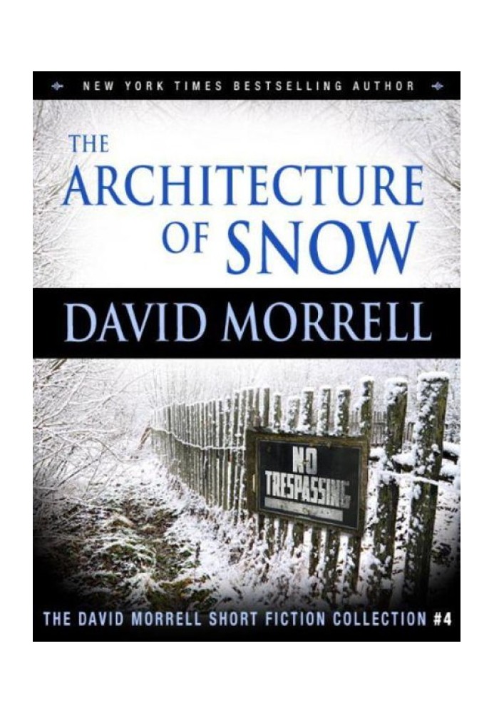 The Architecture of Snow