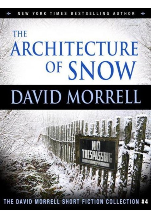 The Architecture of Snow