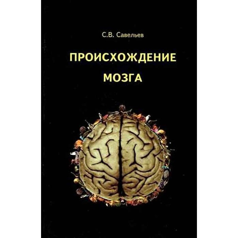 Origin of the brain