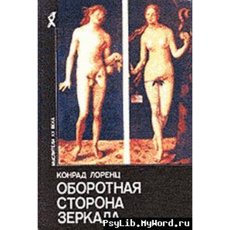 Reverse side of the mirror