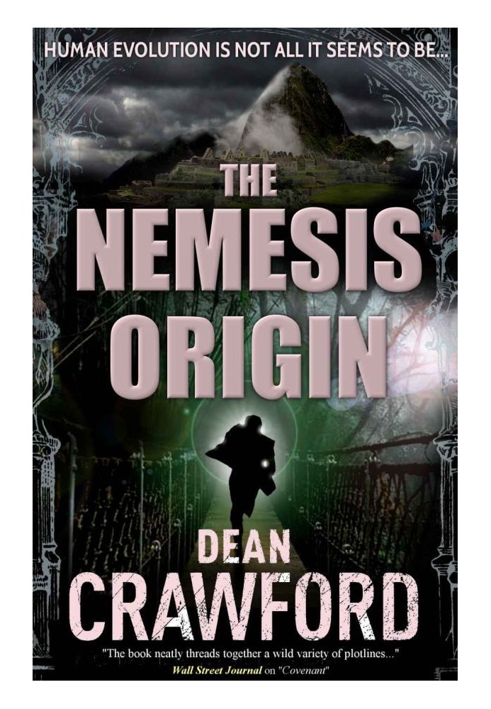 The Nemesis Origin