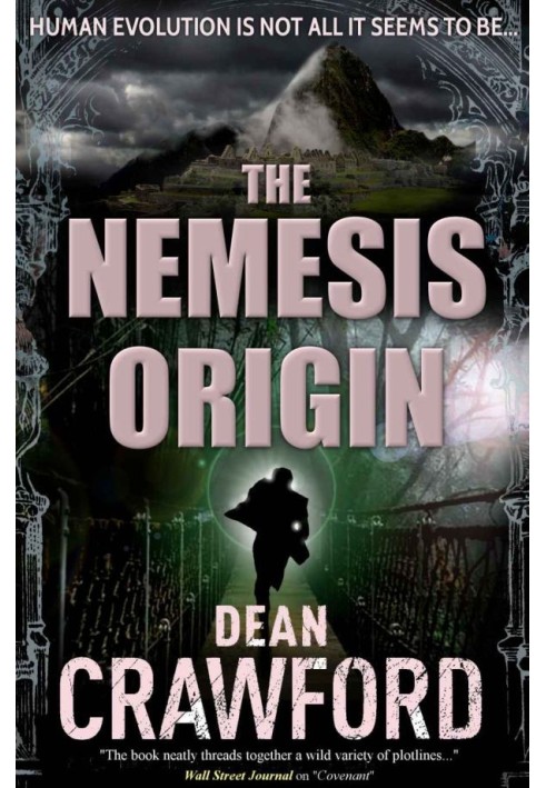 The Nemesis Origin