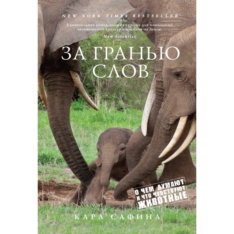 Beyond words. What do...