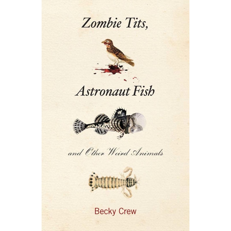 Zombie tits, astronaut fish...