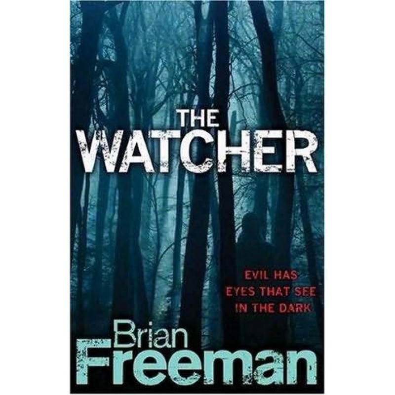 In the Dark aka The Watcher