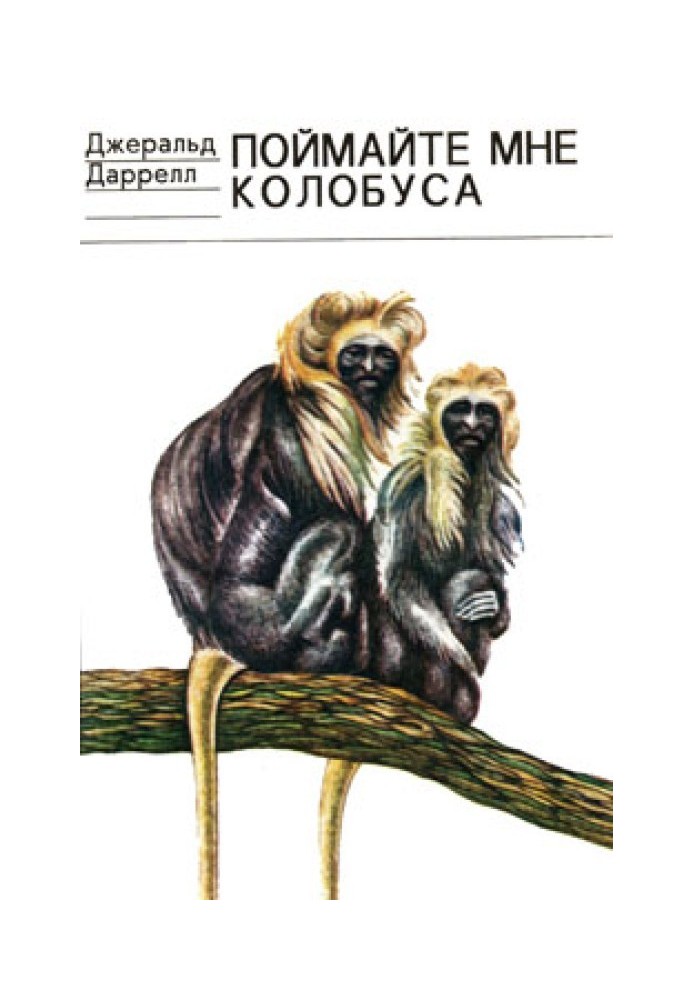 Catch me a colobus (artist R. Thompson)