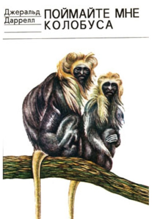 Catch me a colobus (artist R. Thompson)