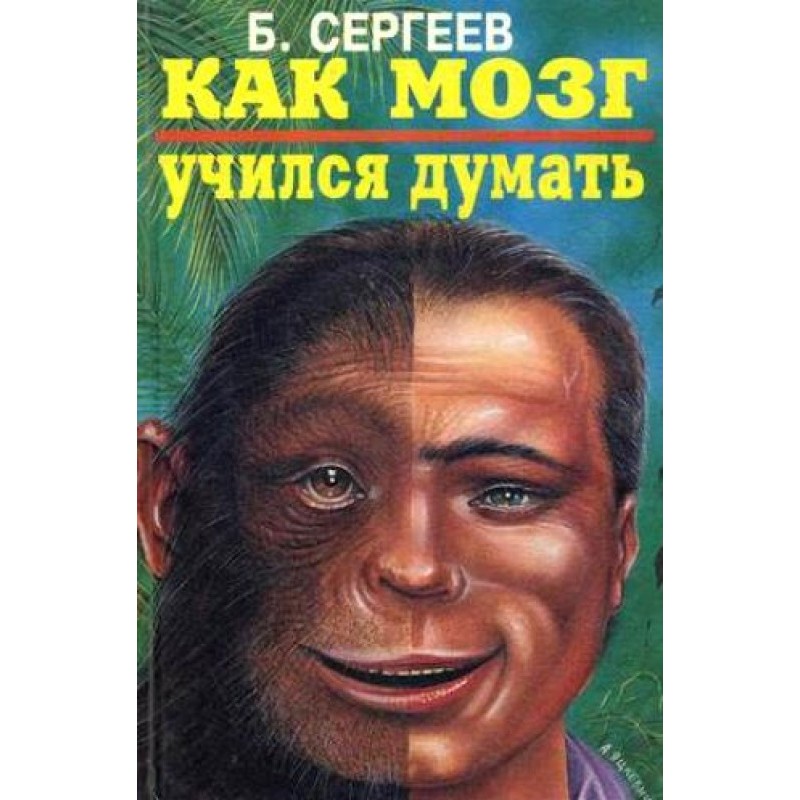 How the brain learned to think