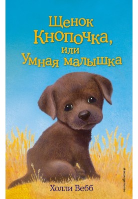 Puppy Button, or Smart Baby