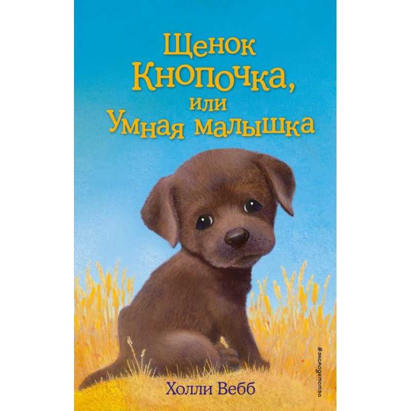 Puppy Button, or Smart Baby