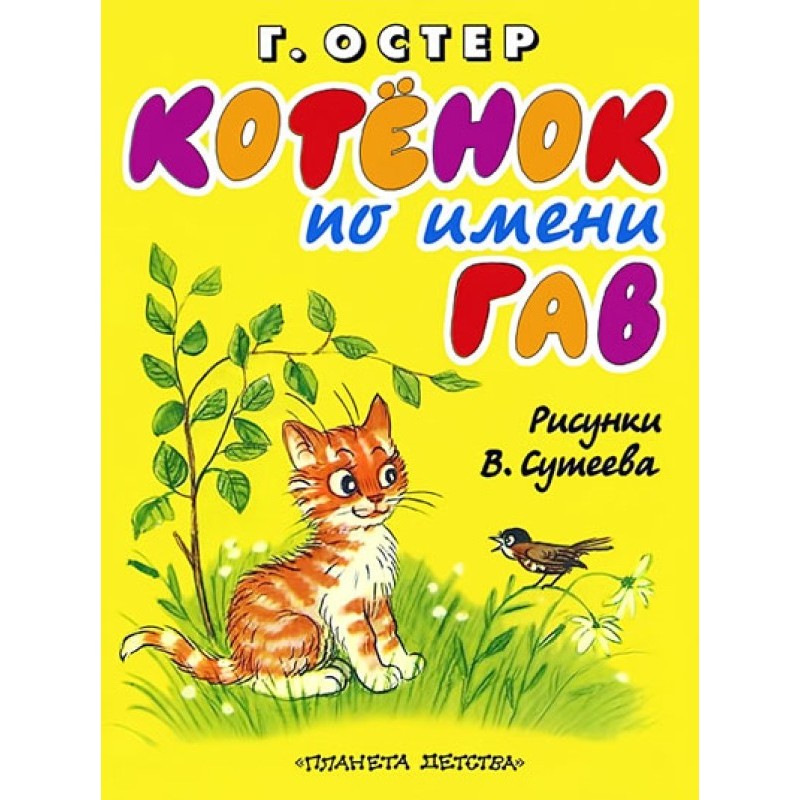 Кошеня на ім'я Гав