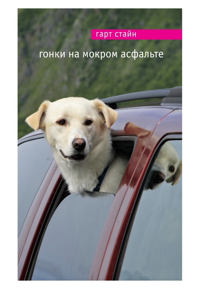 Гонки на мокром асфальте