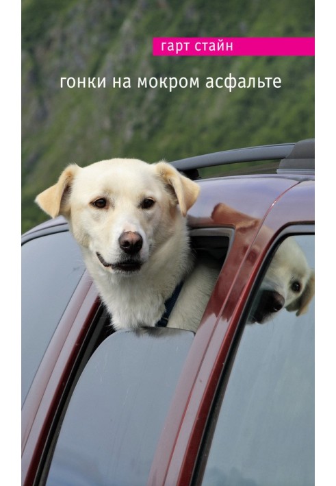 Гонки на мокром асфальте