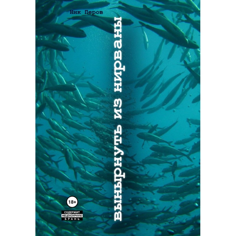 Emerging from Nirvana