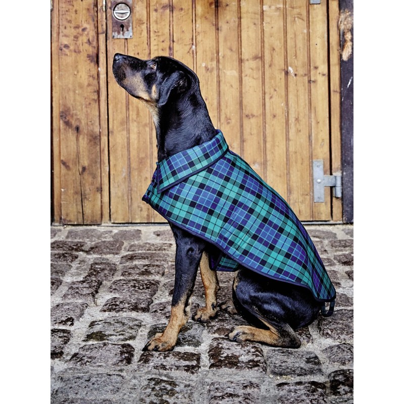 Викрійка Попонка з...