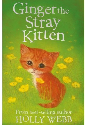 Ginger The Stray Kitten