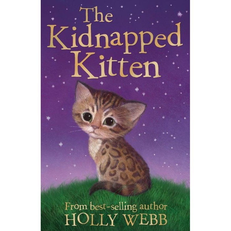 The Kidnapped Kitten