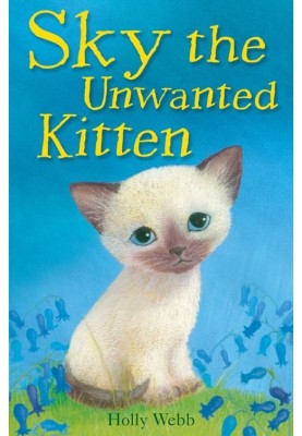 Sky The Unwanted Kitten