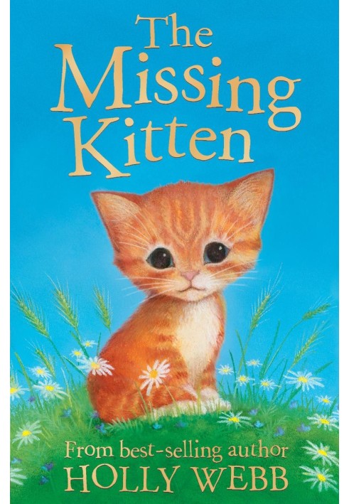 The Missing Kitten