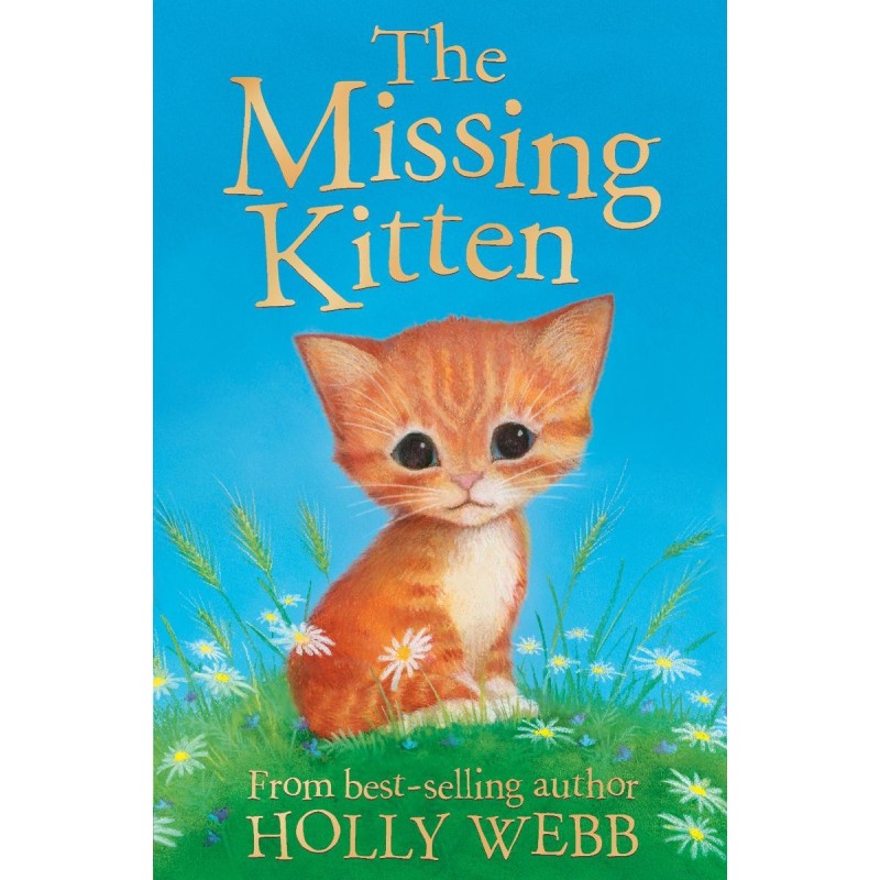 The Missing Kitten