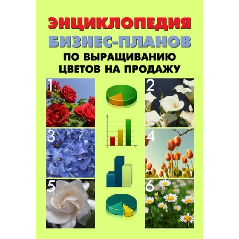 Encyclopedia of business...