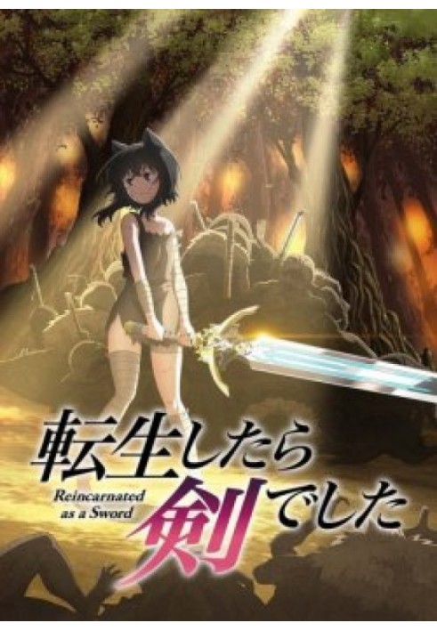About my rebirth into a sword. Volume 9