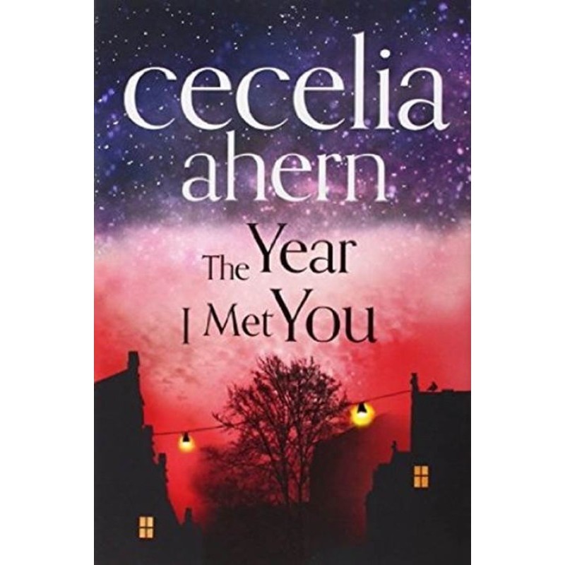 The Year I Met You