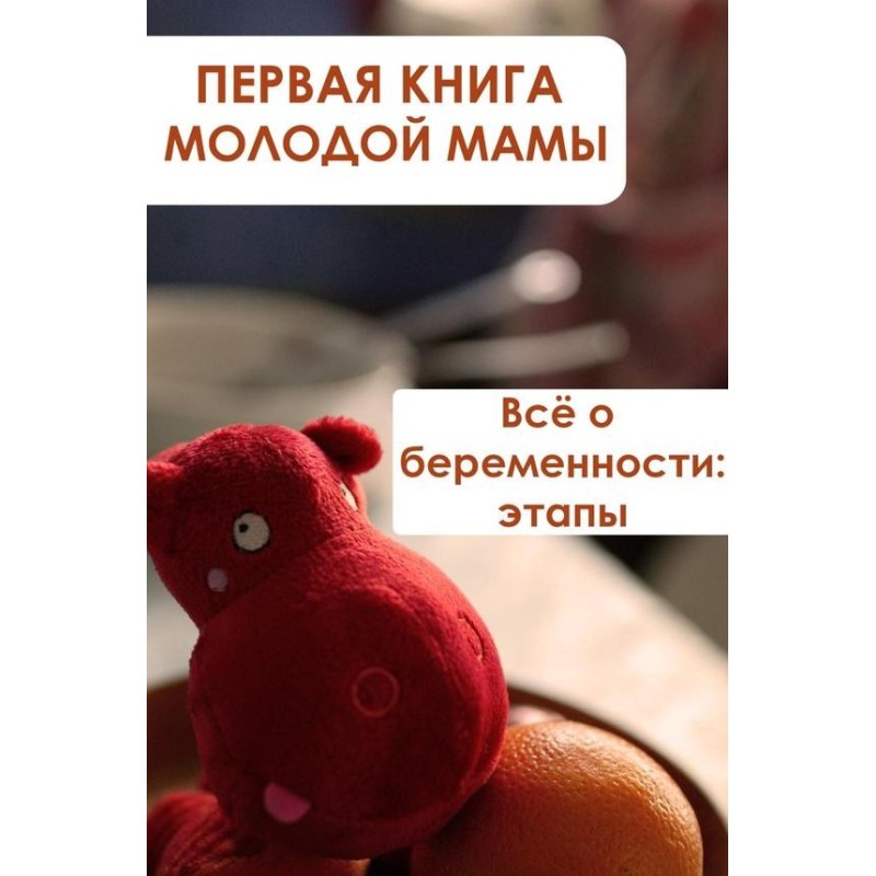 Everything about pregnancy:...