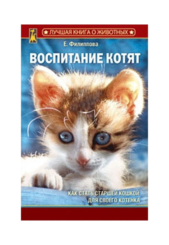 Воспитание котят