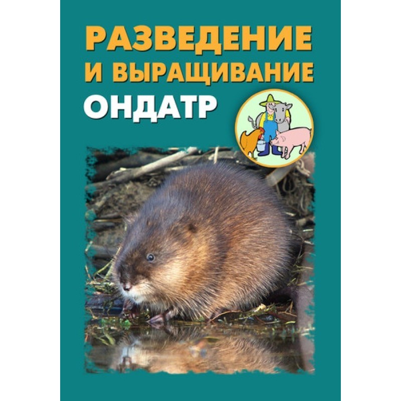 Breeding and raising muskrats