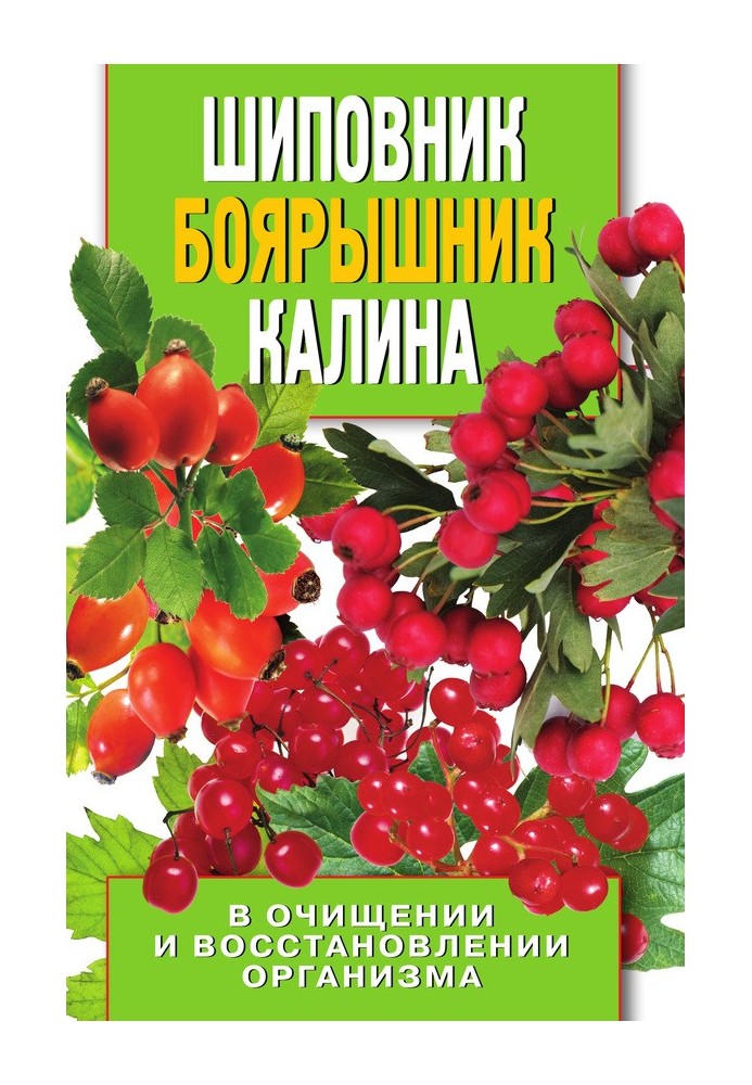 Шипшина, глід, калина в очищенні та відновленні організму