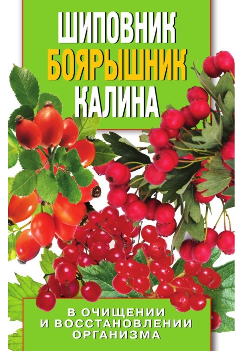 Шипшина, глід, калина в очищенні та відновленні організму