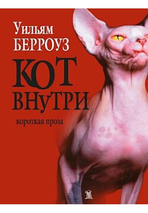 Кот внутри