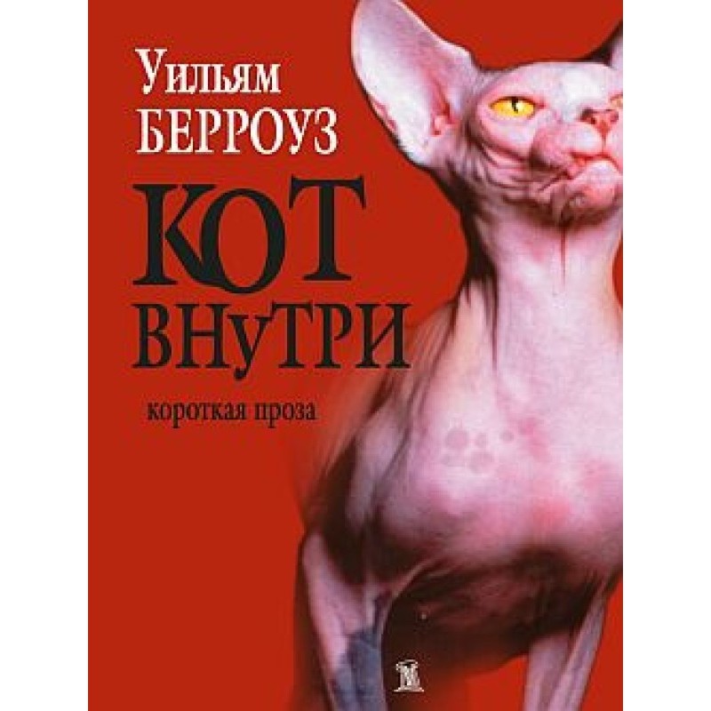 Cat inside