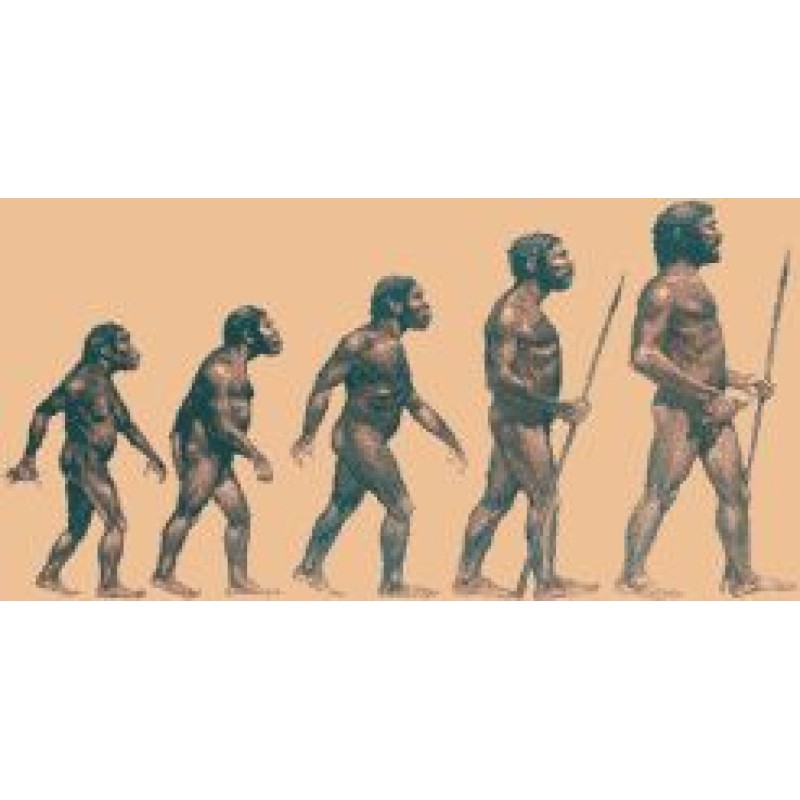 История людей