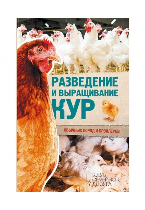 Breeding and growing of chickens of ordinary breeds and broilers