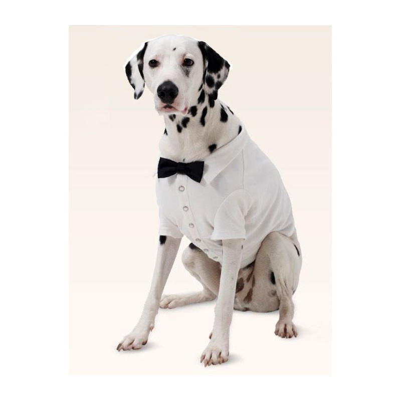 Выкройка Попона-«рубашка»...