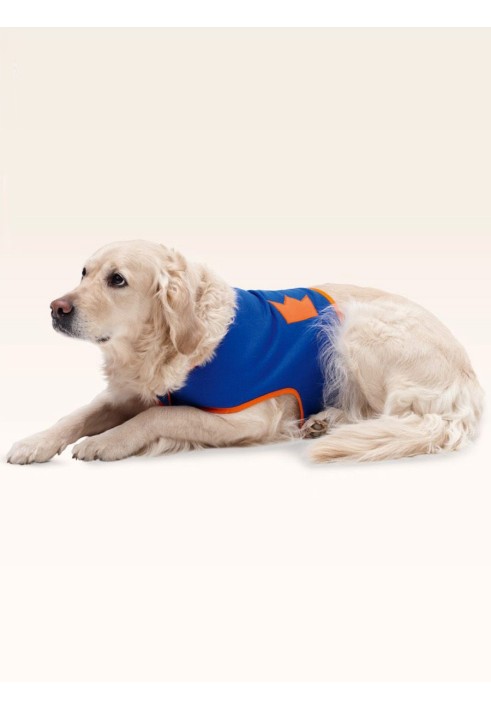 Pattern Blanket-"shirt" for a dog (Burda 2/2015, pattern number 6753 A)