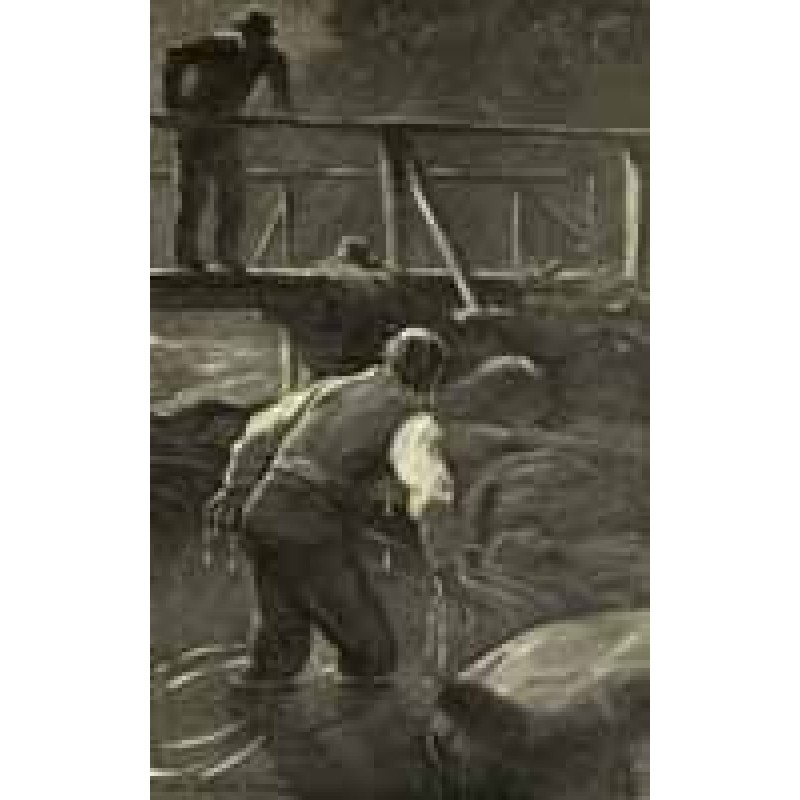 Редакционная статья «Дикий...