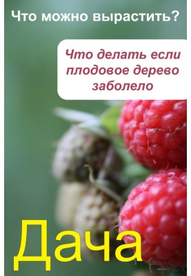 What can you grow? What to do if the fruit tree is sick