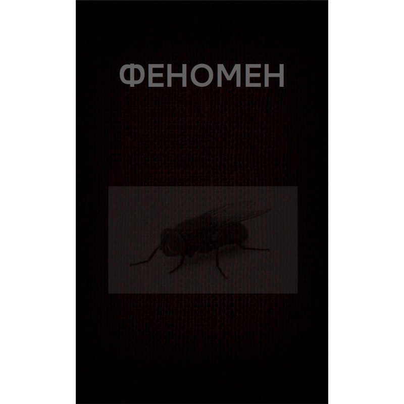 ФЕНОМЕН